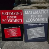 MATEMATICI PENTRU ECONOMISTI , GHEORGHE CENUSA , VOL 1 SI 2