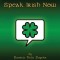 Speak Irish Now