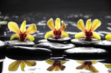 Cumpara ieftin Tablou canvas Orhidee galbene cu pietre, 45 x 30 cm