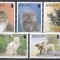Jersey 1994 - Pisici, MNH