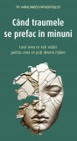 Cumpara ieftin Cand Traumele Se Prefac In Minuni, Haralambos Papadopoulos - Editura Sophia