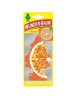 Odorizant auto bradut Wunder-Baum Orange Juice, WUNDER-BAUM&reg;