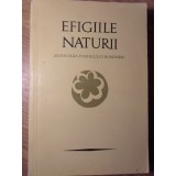 EFIGIILE NATURII: ANTOLOGIA PASTELULUI ROMANESC-PETRE STOICA, MIRCEA TOMUS-234072