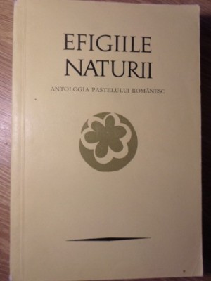 EFIGIILE NATURII: ANTOLOGIA PASTELULUI ROMANESC-PETRE STOICA, MIRCEA TOMUS-234072 foto