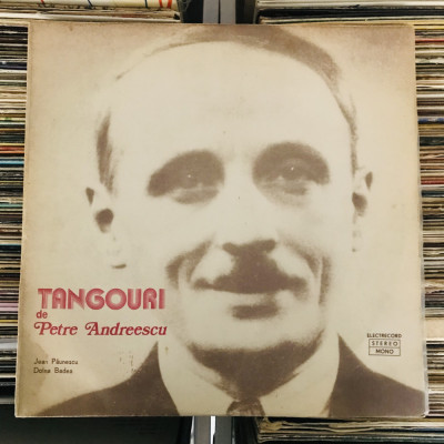 Disc Vinil TANGOURI DE PETRE ANDREESCU &amp;ndash; Jean Păunescu / Doina Badea (1979) foto