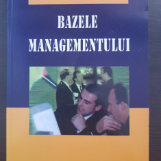 BAZELE MANAGEMENTULUI - Virgil Petrovici