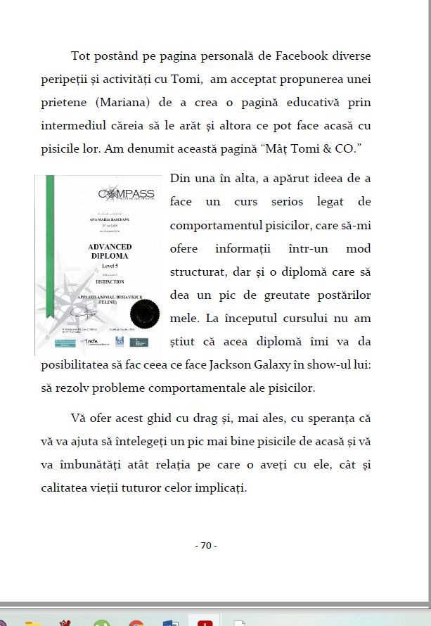 Ghid de initiere in comportamentul pisicilor