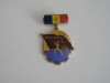 QW9 L 3 - Insigna - tematica comunism - Brigadier al muncii patriotice, Romania de la 1950