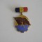 QW9 L 3 - Insigna - tematica comunism - Brigadier al muncii patriotice