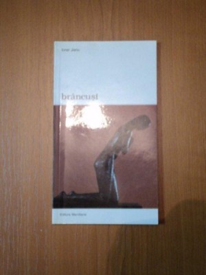 BRANCUSI de IONEL JIANU , 2002 foto