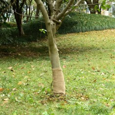 Rulou de iută, 0,25x10 m, iută 100%, 200 g/m&sup2;
