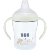 NUK Perfect Match Koala biberon pentru &icirc;nvățare 6m+ 150 ml