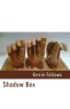 Shadow Box