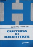 Cultura si Identitate - Dumitru Tiutiuca, Ed. Junimea 2005, Istorie, 219 pagini