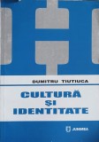 CULTURA SI IDENTITATE-DUMITRU TIUTIUCA