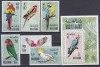 DB1 Fauna Pasari Ras al Khaima Papagali 6 v. + SS MNH, Nestampilat