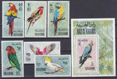 DB1 Fauna Pasari Ras al Khaima Papagali 6 v. + SS MNH