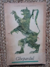 GHEPARDUL-GIUSEPPE TOMASI DI LAMPEDUSA foto