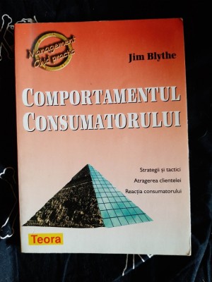 Jim Blythe - Comportamentul consumatorului foto