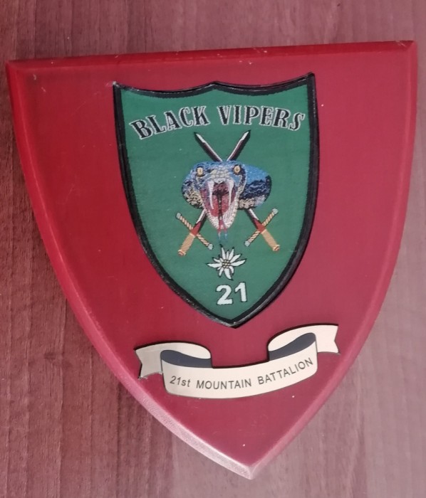 D15 1 - Placheta - militara - Vanatori munte - Viperele negre