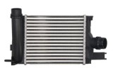 Radiator intercooler DACIA SANDERO II (2012 - Prezent) THERMOTEC DAR020TT