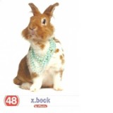 Caiet A5, 48 file, 70g/mp, velin, colturi rotunjite, motiv Animals