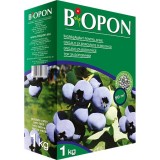 Cumpara ieftin BIOPON Ingrasamant pentru Afine 1kg, specializat, B7374