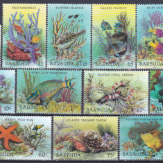 DB1 Fauna Marina Pesti Scoici 1987 Barbuda 13 v. MNH