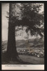 CPI B12495 CARTE POSTALA - CAMPULUNG MOLDOVENESC, RPR, Circulata, Fotografie