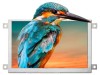 Ecran TFT 5&quot; 800x480 LED RGB
