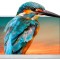 Ecran TFT 5&quot; 800x480 LED RGB