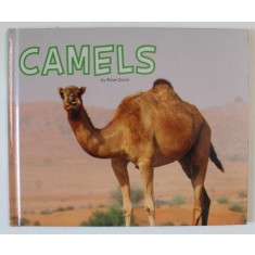 CAMELS , MEET DESERT ANIMALS by ROSE DAVIN , 2017