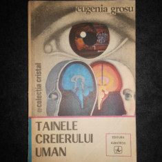 Eugenia Grosu - Tainele creierului uman