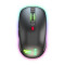 Mouse Gaming cu LED KEEP OUT x4PRO 2500 dpi Negru