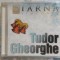 Cd-Tudor Gheorghe-Iarna simfonic