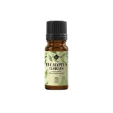 Ulei esential de Eucalipt M-1030, 10ml, Ellemental