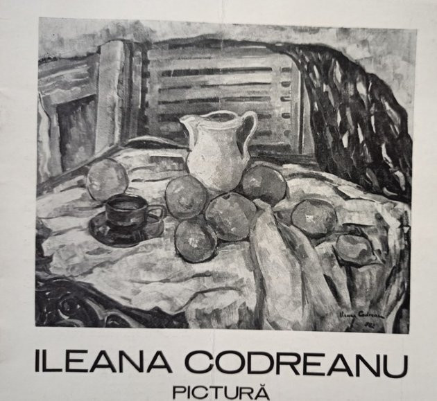 Ileana Codreanu - Pictura (1982)