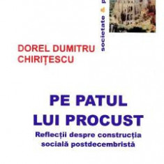 Pe patul lui Procust - Dorel Dumitru Chiritescu
