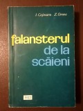 I. Cojocaru; Z. Ornea - Falansterul de la Scăieni