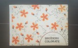 Broderii colorate. Metode de lucru - Maria Paraschivoiu