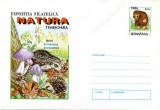 Romania 1998, Fauna - Arici, Ciuperci, Expo. Filatelica NATURA Timisoara, intreg postal