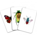 Carti de joc Montessori - Insecte din Romania |, Gama