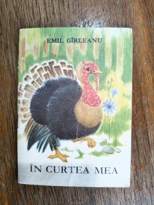 In curtea mea - Emil Garleanu / R8P5F