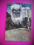 HOPCT 6651 DANSATOR IN COSTUM SI MASCA BATEKE-CONGO -AFRICA-CIRCULATA