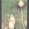 Guyana 1990 Mushrooms, perf. sheet, used T.152