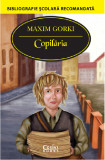 Cumpara ieftin Copilaria | Maxim Gorki, Corint
