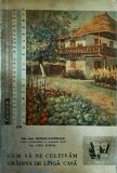 Teodor Bordeianu - Cum sa ne cultivam gradina de langa casa