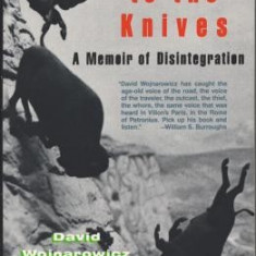 Close to the Knives: A Memoir of Disintegration