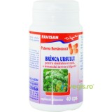 Branca Ursului 40cps