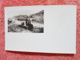 Fotografie tip carte postala, pastor cu oile, perioada interbelica